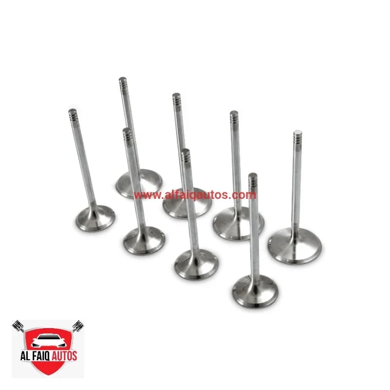 MG HS ENGINE VALUE GENUINE SET